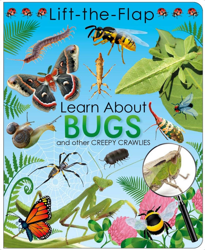 LIFT THE FLAP LEARN ABOUT BUGS