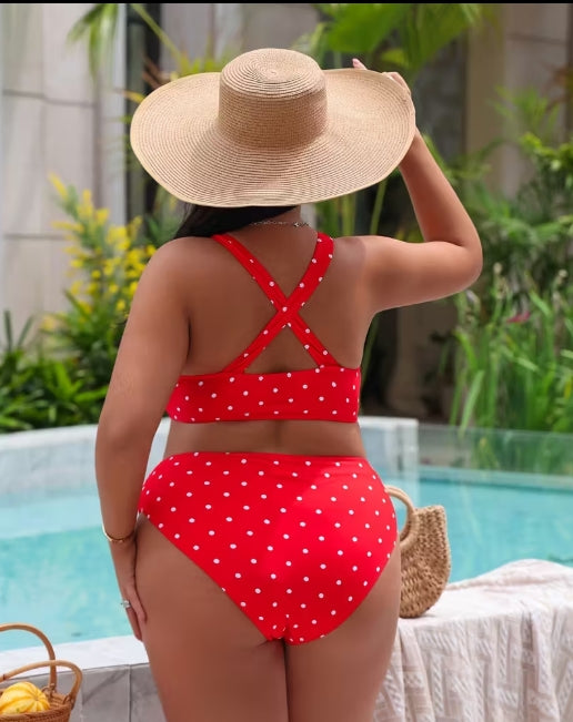 Truett Swimsuit in Curvy