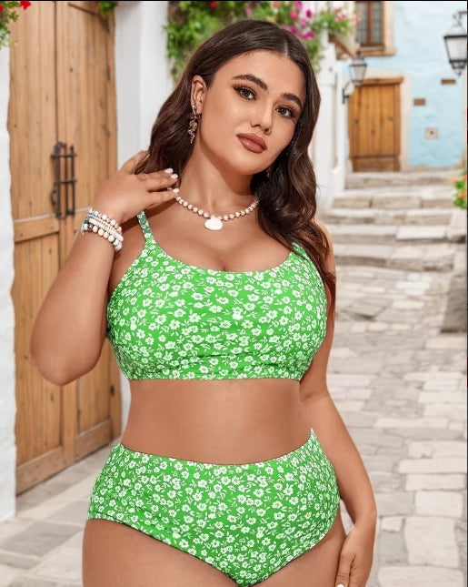 Rayan Swimsuit in Curvy