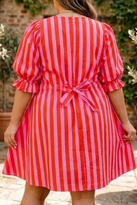 Bethany Frilled Collar Dress in Curvy