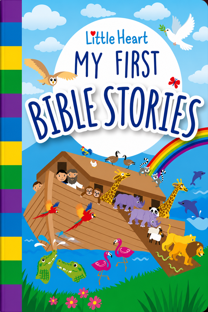 LITTLE HEART MY FIRST BIBLE STORIES