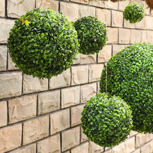Boxwood Topiary Ball